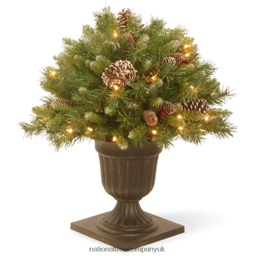 Greenery | National Tree Company 24in Frosted Berry Porch Bush with Clear Lights F2L4F475
